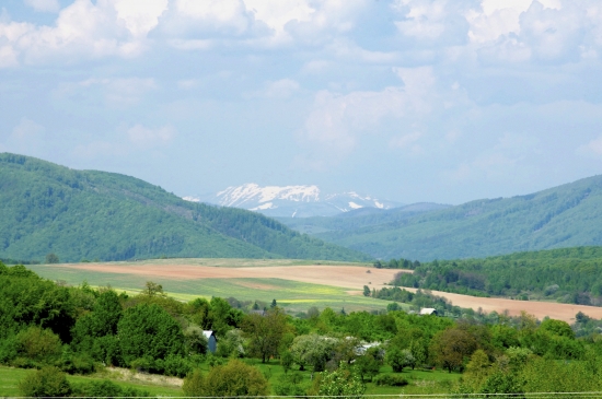 Návraty do rodiska...