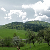 Muránska planina-sedlo Zbojská