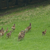 Útek do bezpečia..