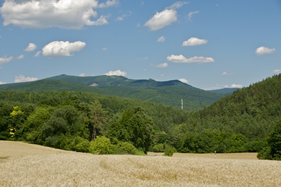 Letná krajina...