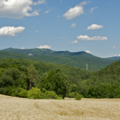 Letná krajina...