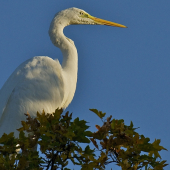 Vitaj slnko, vitaj deň...