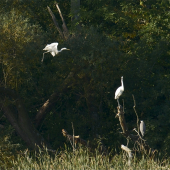 Zmestím sa medzi vás ???
