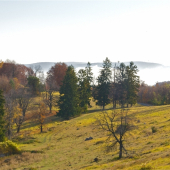 A rána sú tu tiché...