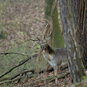 Len okamih a bol fuč..