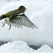 Fŕŕŕnk ..už len zasunúť 