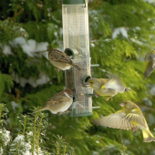 Choďte preč...to patrí nám...!!!