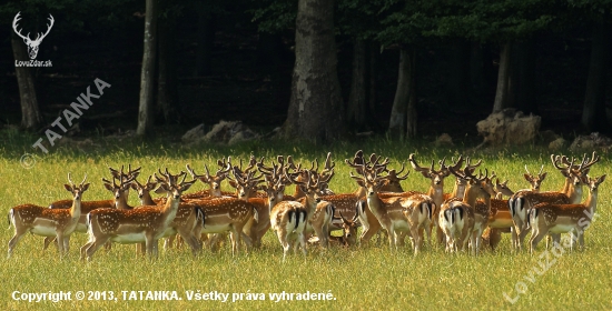 Trošku tepla do tohoto nečasu...