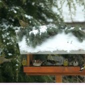 Čo to tam stvárate....?