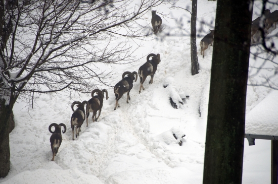 Kedy tá zima skončí...???