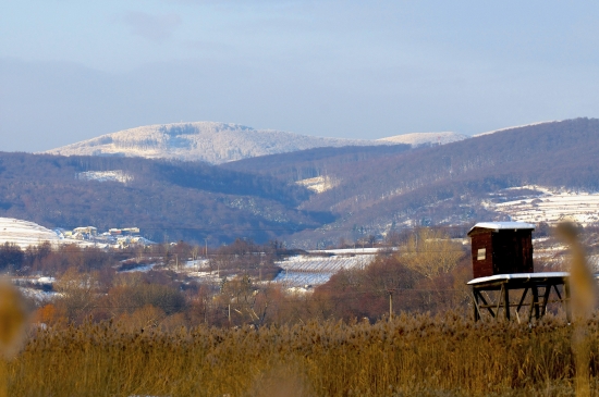 Malé Karpaty