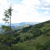 Zvolen nad Donovalmi v pozadí Krížna