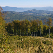 V kraji jeleňov....