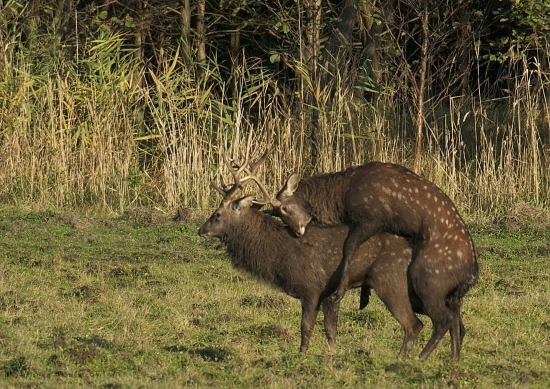 Keď sa búria hormóny..