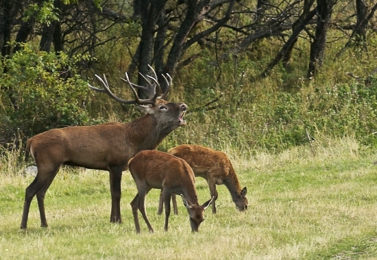 äääúúú.. Sú moje..!!!