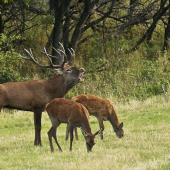 äääúúú.. Sú moje..!!!