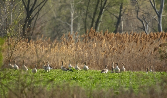 Oddych po ceste na sever..