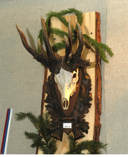 V blížiacej sa ruji želám všetkým srnčiarom LOVU ZDAR!