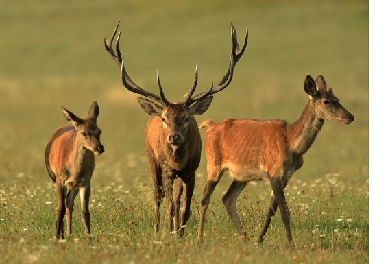 PRI ZÁPADE SLNKA...