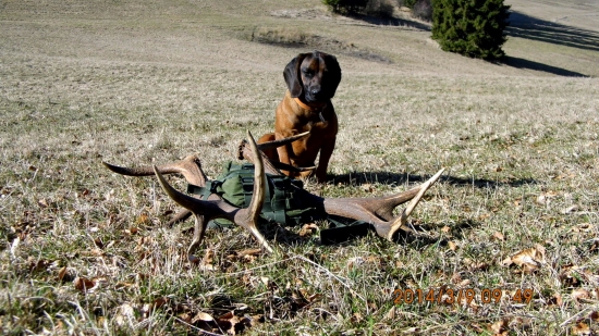 môj Bak 11 mesiacov