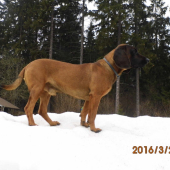 radosť z posledného snehu