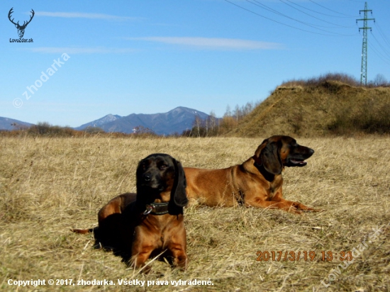 BRETON A CARMEN