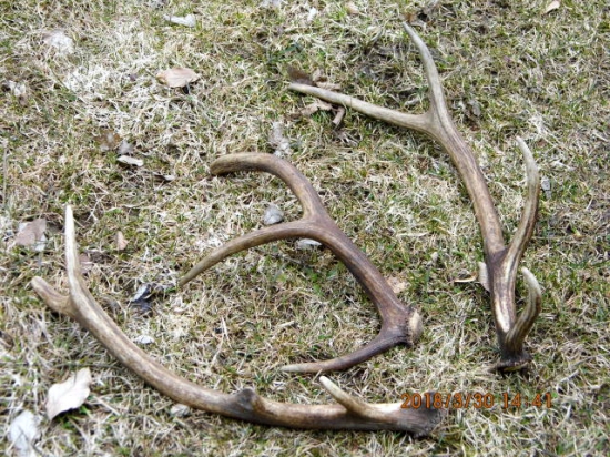 Včerajšia vychádzka