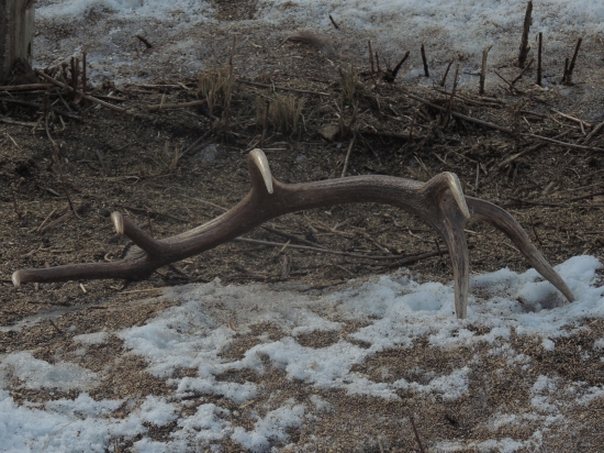 dnešný dvanástorák