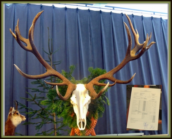 Najsilnejší v Poprade - 214,43