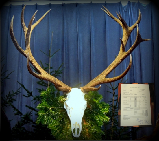 Druhý naj z Popradu