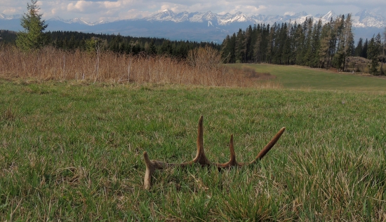 S výhľadom na Tatry