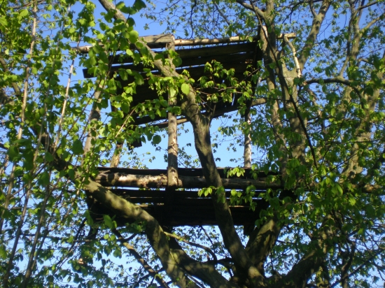 aj toto dokaze clovek...