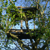 aj toto dokaze clovek...