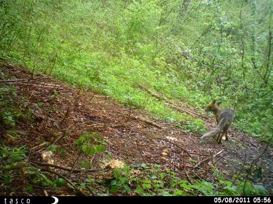 Kristian na ranajkach 5:56 h.