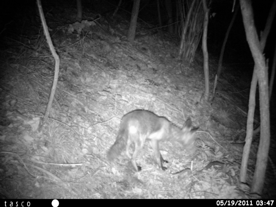 Kristián si ma našiel aj o 2 km ďalej...