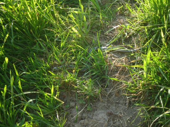 ...aj pod posedom si pozeraj pod nohy