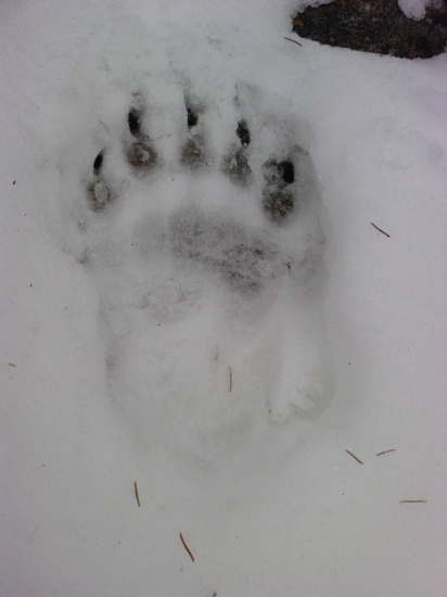 Cyrilova stopa,ešte nespí...