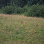 hlavne nenápadne...