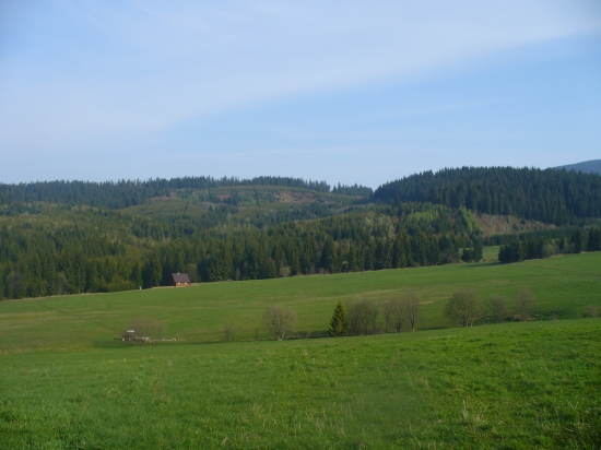 Jedličnik