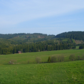 Jedličnik