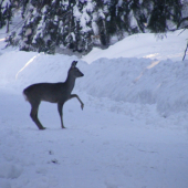 neni sa kde ponahľať