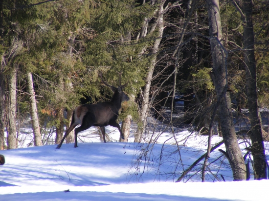 Kde je niečo pod zub?
