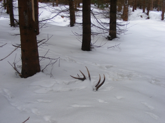 pohľad ktory vždy zohreje