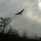 A už su tu konečne