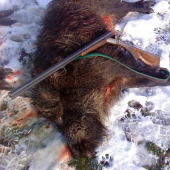 otcov silvestrovský