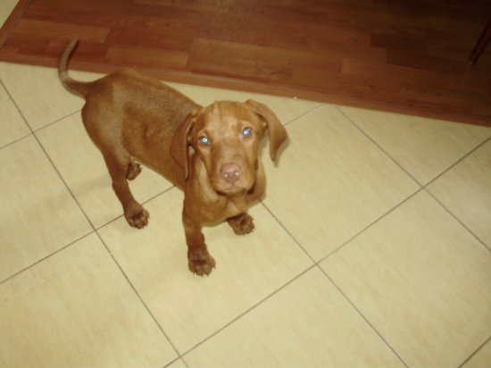 bado, prvý deň doma