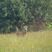 konečne bol bližšie