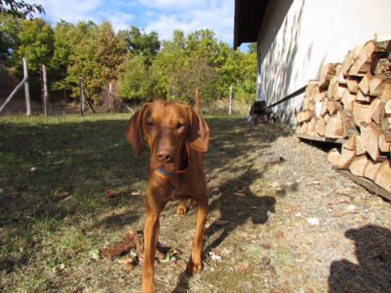 keď sme sa naháňali...