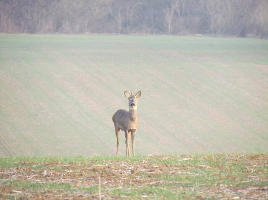 keď je dobrý vietor