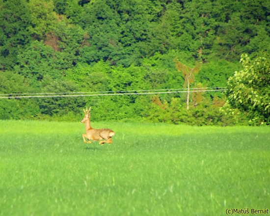 k fotke ID:164558